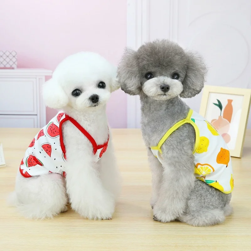 Pet Clothes Dog Fruit Camisole Spring And Summer Cute Print Pet T-shirt Pet Clothing Short Board Midsummer Camisole Small Dog
Pet Clothes Dog Fruit Camisole Spring And Summer Cute Print Pet T-shirt Pet Clothing Short Board Midsummer Camisole Small Dog