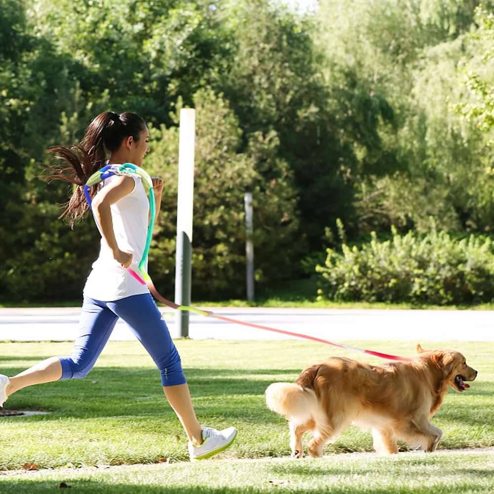 Nylon Leashes Leads for Running Pet Dogs Chain Traction Rope Free Hands Rope Chain for Small Large Dogs Pet Products
Nylon Leashes Leads for Running Pet Dogs Chain Traction Rope Free Hands Rope Chain for Small Large Dogs Pet Products