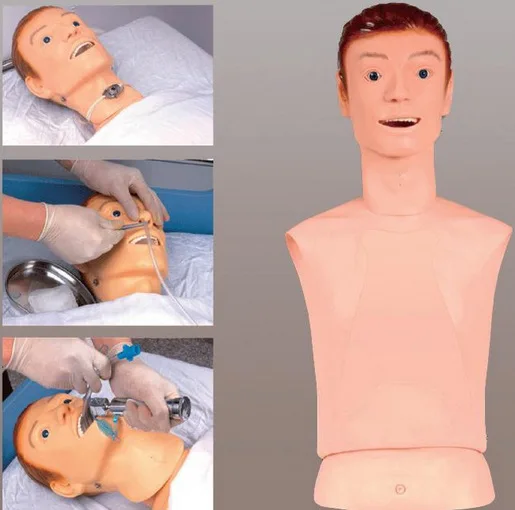 Nasogastric Tube and Trachea/Nasogastric Tube Nursing Model/Personnel Teaching Equipment Lecturer Display Simulation Course
Nasogastric Tube and Trachea/Nasogastric Tube Nursing Model/Personnel Teaching Equipment Lecturer Display Simulation Course