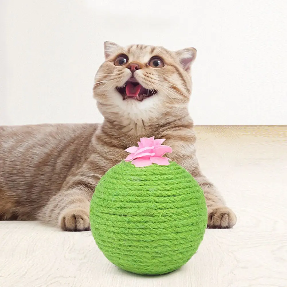Cat Natural Sisal Rope Scratching Ball Toy Woven Tumbler Ball Scratch Board Grinding Paws Toys For Cats Pet Supplies New Arrival
Cat Natural Sisal Rope Scratching Ball Toy Woven Tumbler Ball Scratch Board Grinding Paws Toys For Cats Pet Supplies New Arrival