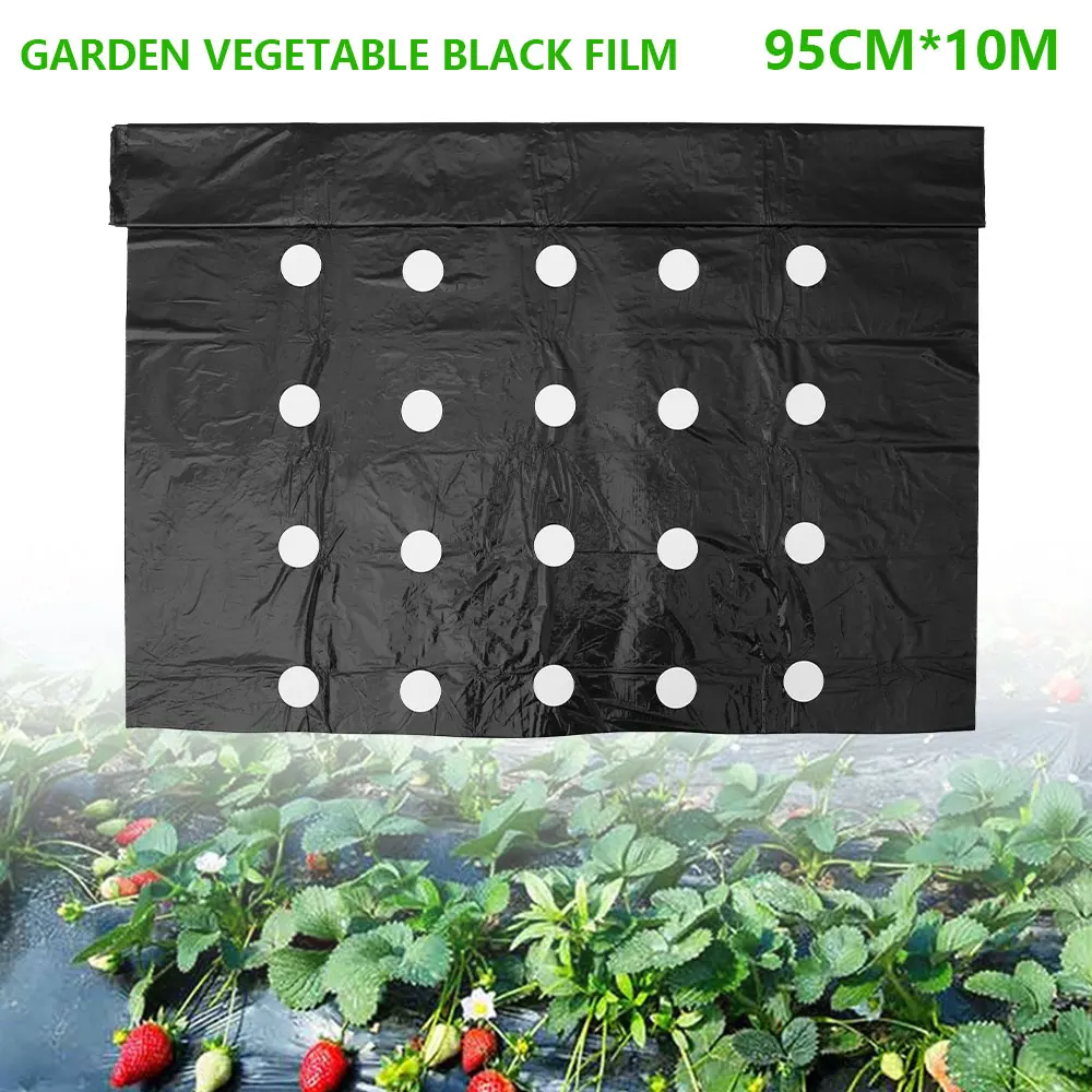 0.95*10Meters Garden Vegetable Mulch Film Plant Grow Greenhouse Agricultural PE Weeding Film Perforated 5Holes Mulching Membrane
0.95*10Meters Garden Vegetable Mulch Film Plant Grow Greenhouse Agricultural PE Weeding Film Perforated 5Holes Mulching Membrane