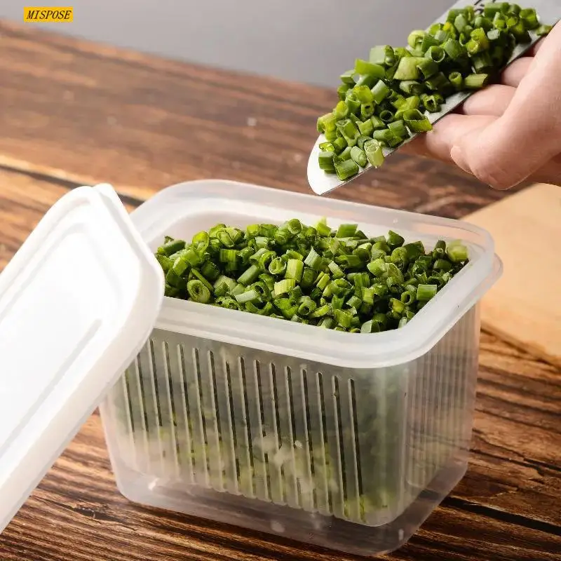 Square Green Onion Storage Box Household Kitchen Fruit Sealed Box Refrigerator Transparent Storage Box Kitchen Jars with Lid
Square Green Onion Storage Box Household Kitchen Fruit Sealed Box Refrigerator Transparent Storage Box Kitchen Jars with Lid
