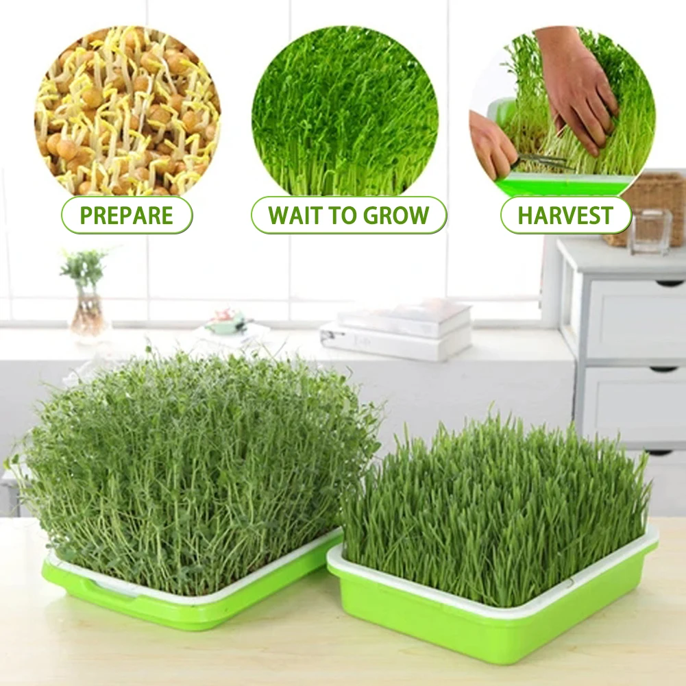 Double-layer Plastic Hydroponic Flower Basket Flower Plant Sprouting Tray Box Sprout Seedling Paper Gardening Planting Sprout
Double-layer Plastic Hydroponic Flower Basket Flower Plant Sprouting Tray Box Sprout Seedling Paper Gardening Planting Sprout