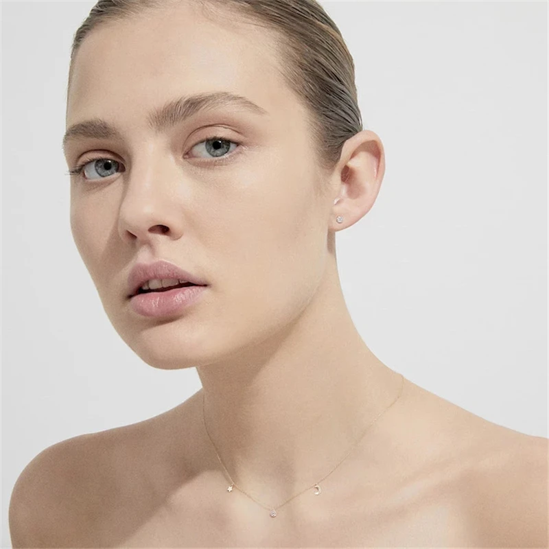 CANNER Luxury Crystal Zircon Stud Earrings 925 Sterling Silver Round Circle Small Stud Earrings for Women Jewelry Female Brincos 
CANNER Luxury Crystal Zircon Stud Earrings 925 Sterling Silver Round Circle Small Stud Earrings for Women Jewelry Female Brincos