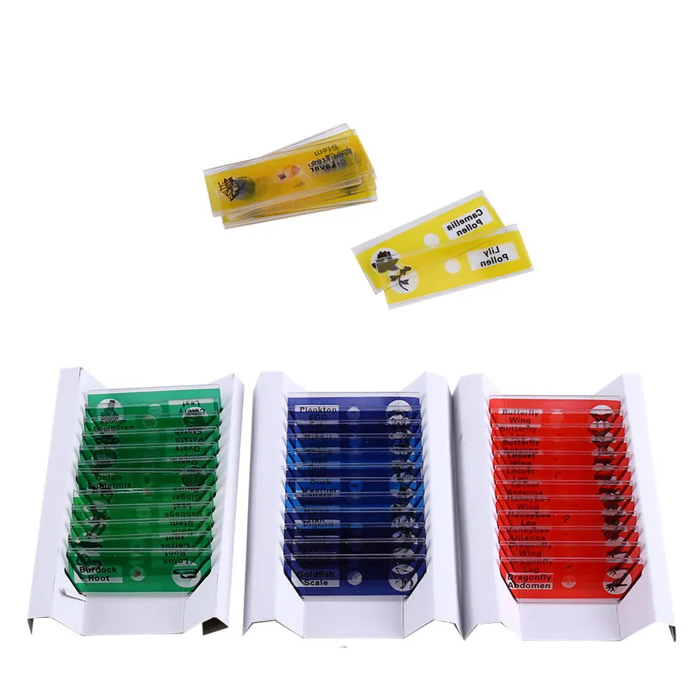 48PCS Prepared Microscope Slides Biological Specimen Plant Insect Animal Flower Samples For Basic Biology Education For Kids
48PCS Prepared Microscope Slides Biological Specimen Plant Insect Animal Flower Samples For Basic Biology Education For Kids