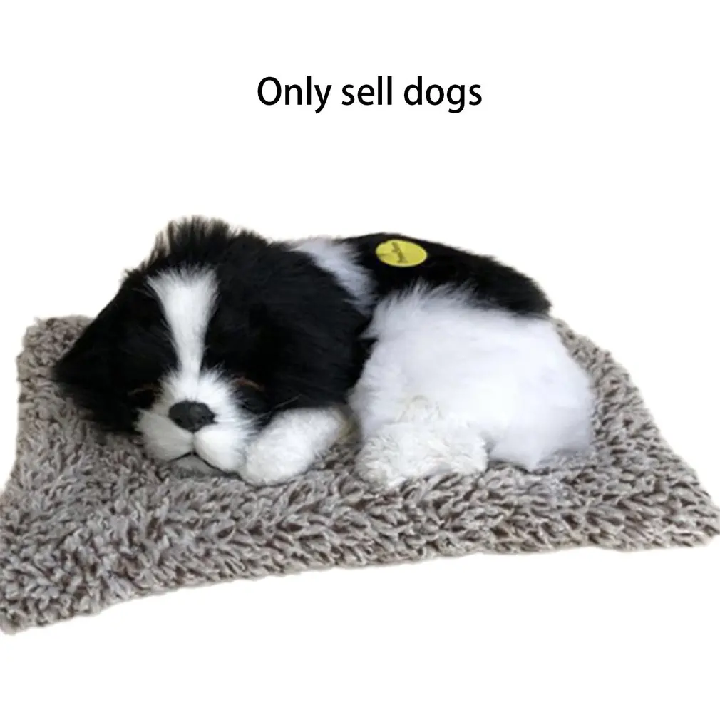 Bamboo Charcoal Dog Car Ornaments Dolls Hyenas In Addition To Formaldehyde In Addition With Activated Carbon Package
Bamboo Charcoal Dog Car Ornaments Dolls Hyenas In Addition To Formaldehyde In Addition With Activated Carbon Package