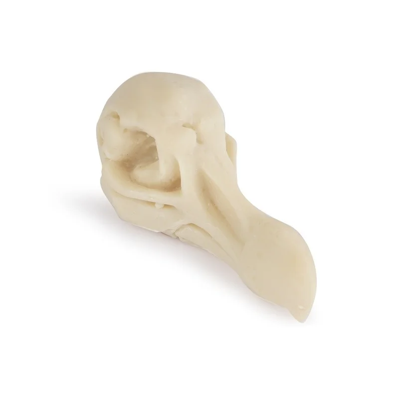 1 / 2 / 5pcs resin ornaments crafts skull home accessories skull dodo skull animal skeleton specimen home decore
1 / 2 / 5pcs resin ornaments crafts skull home accessories skull dodo skull animal skeleton specimen home decore