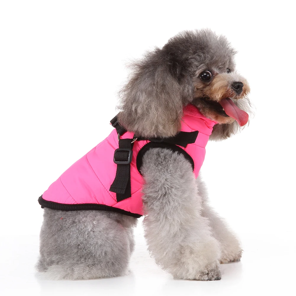 Dog Clothes Pet Clothes Brand Clothes Tide Two-legged Hoodies Hooded Sweatshirt Cat Plush Clothes Dog Jacket Coat Warm and Fleec
Dog Clothes Pet Clothes Brand Clothes Tide Two-legged Hoodies Hooded Sweatshirt Cat Plush Clothes Dog Jacket Coat Warm and Fleec
