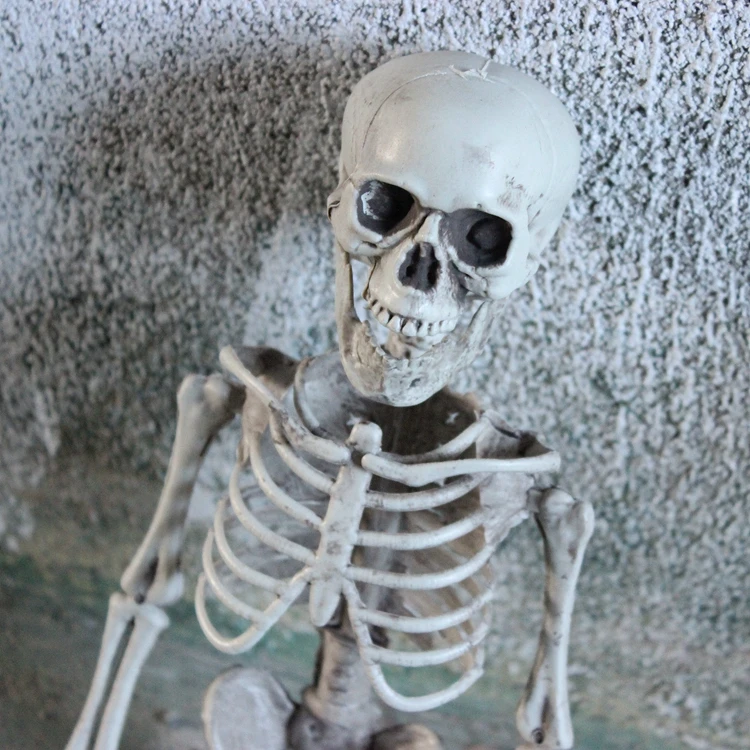 40CM/90CM Halloween Skeleton Full Body Halloween Skeleton with Movable Joints Halloween Decoration
40CM/90CM Halloween Skeleton Full Body Halloween Skeleton with Movable Joints Halloween Decoration