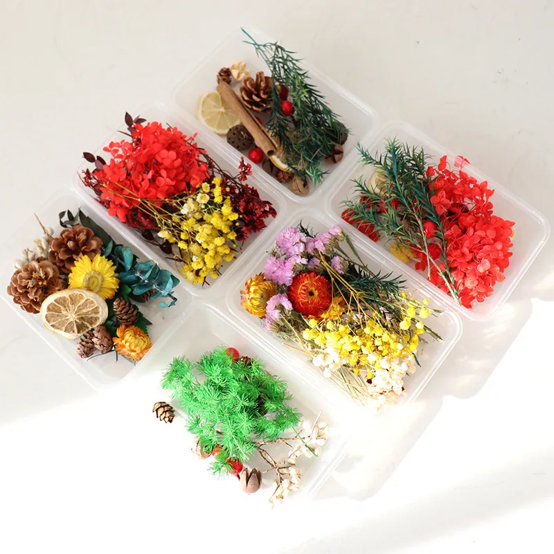 200Pc Real Gedroogde Bloemen Voor Diy Art Craft Epoxyhars Kaars Maken Sieraden Thuis Party Decoratieve Droog Druk Bloemen
200Pc Real Gedroogde Bloemen Voor Diy Art Craft Epoxyhars Kaars Maken Sieraden Thuis Party Decoratieve Droog Druk Bloemen