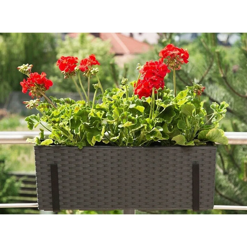 Pair Hook Trough Plant Pot Hanging Hooks Rail Balcony Planter Holder Brackets Iron Hooks Height Adjustable Hook For Garden Pots
Pair Hook Trough Plant Pot Hanging Hooks Rail Balcony Planter Holder Brackets Iron Hooks Height Adjustable Hook For Garden Pots