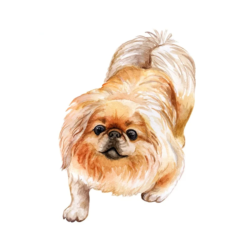 For Pekingese Car Stickers and Decals Motorcycle Helmet Waterproof Creative Scratch-proof Window Decal 13cm X 9.3cm
For Pekingese Car Stickers and Decals Motorcycle Helmet Waterproof Creative Scratch-proof Window Decal 13cm X 9.3cm