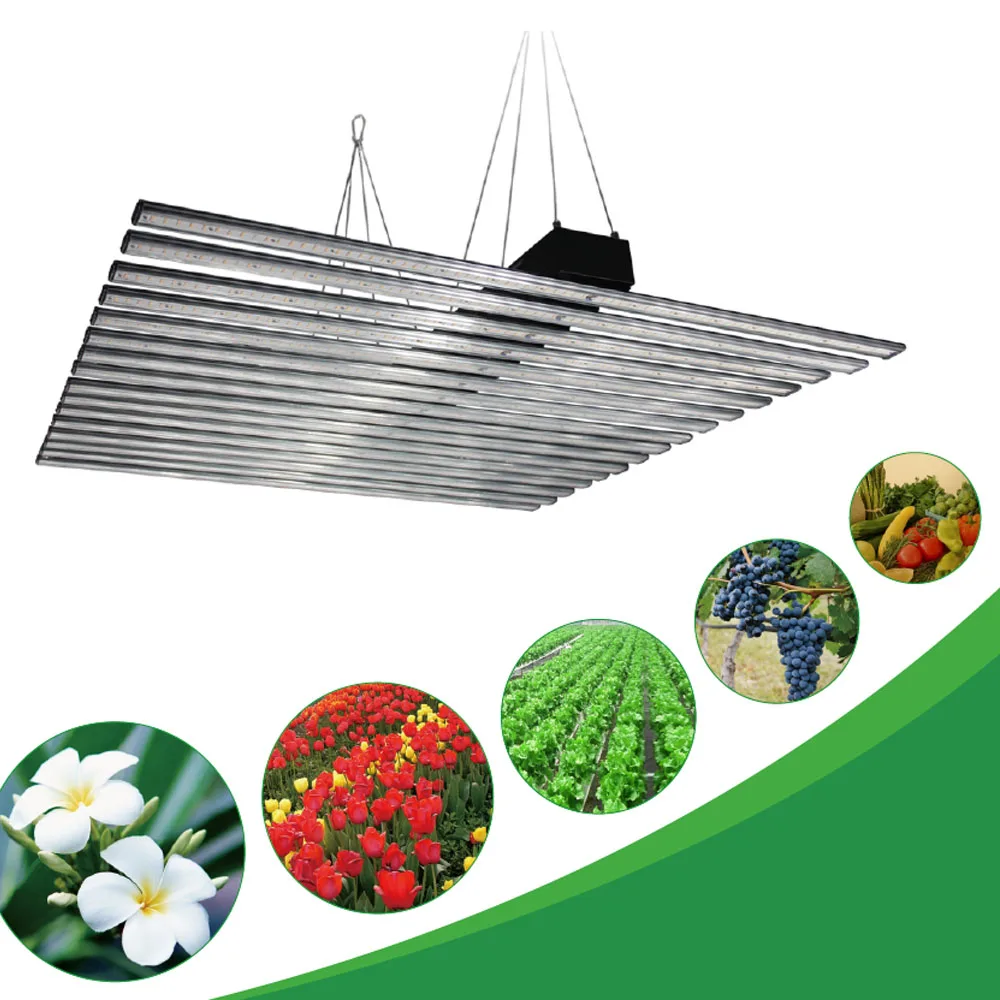 samsung led chips white full spectrum 800watt 640watt 1280watt led grow light bar indoor grow medical plants
samsung led chips white full spectrum 800watt 640watt 1280watt led grow light bar indoor grow medical plants