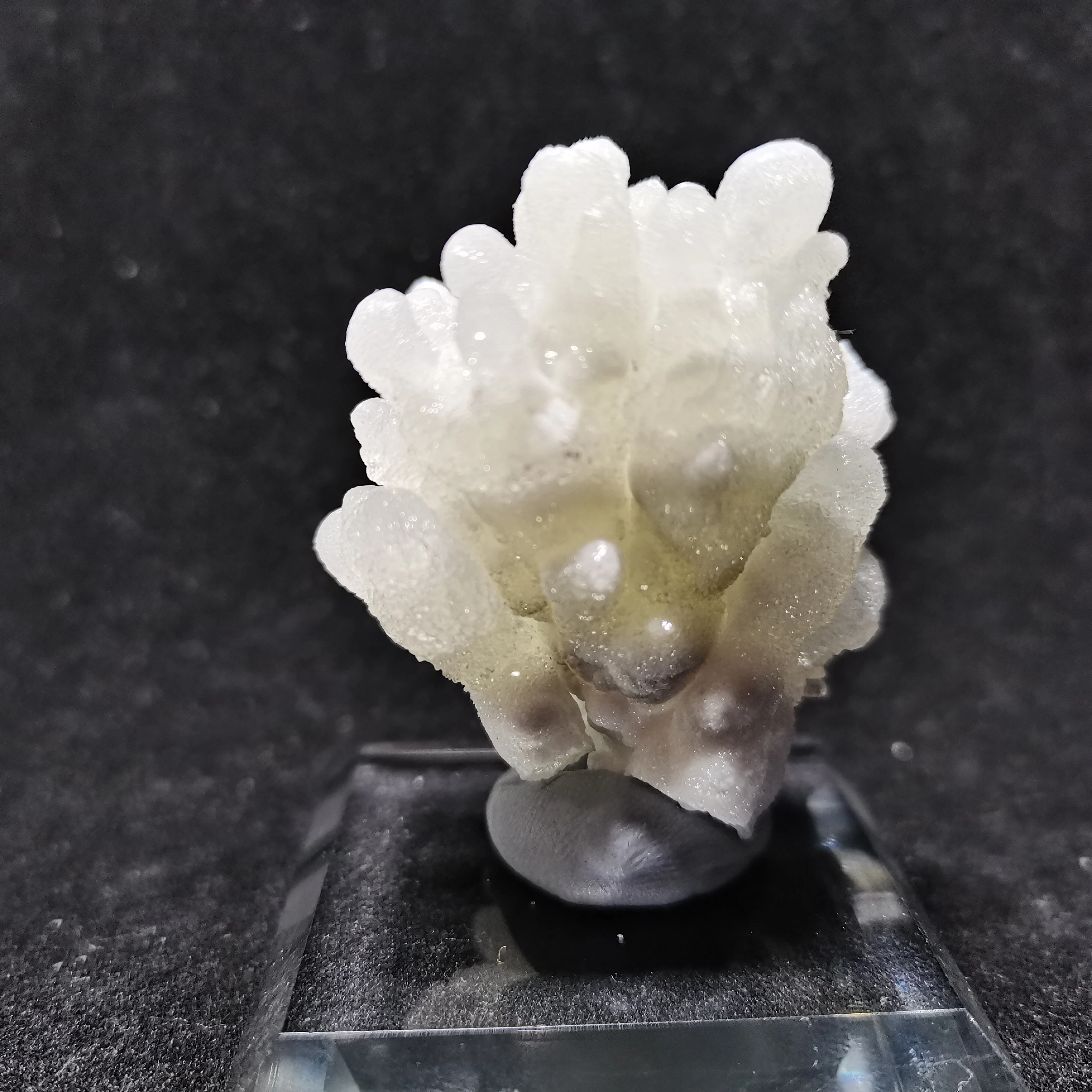 52.4gElement samples of natural Zincite, crystal and fluorite
52.4gElement samples of natural Zincite, crystal and fluorite