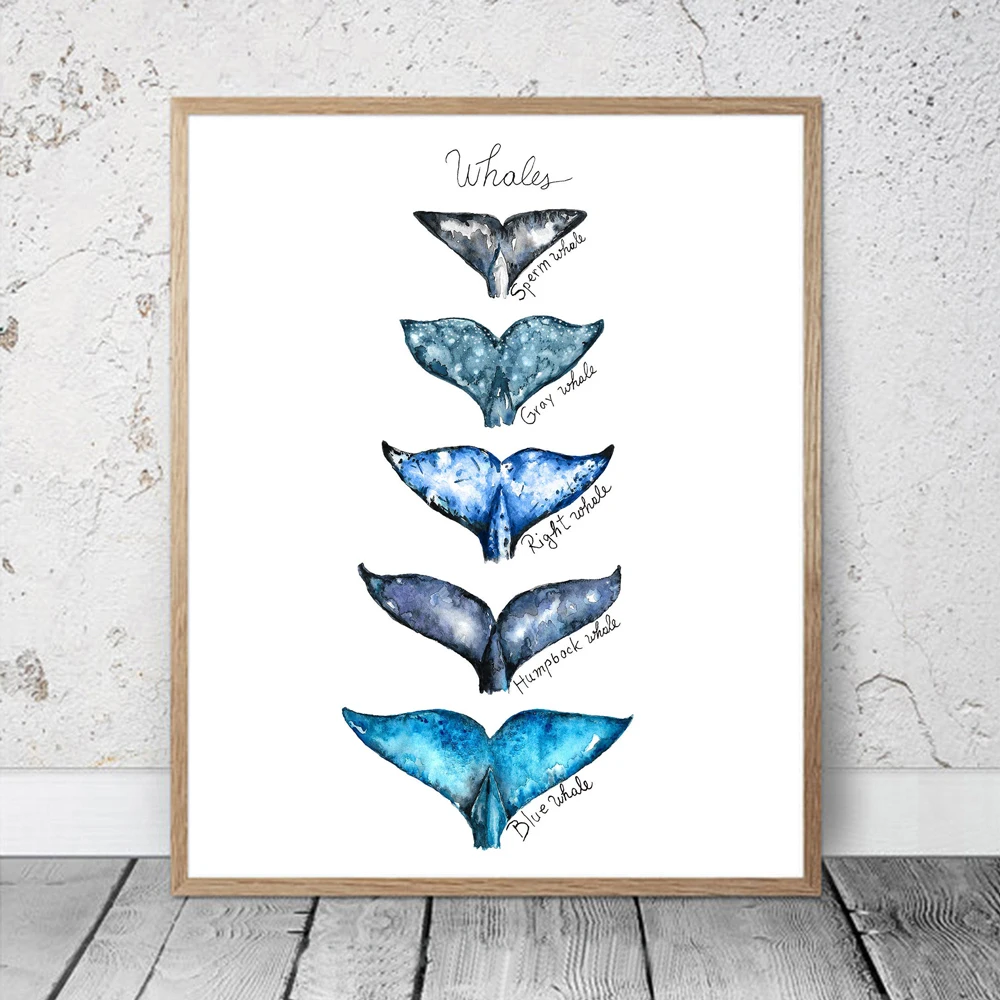 Watercolor Whale Tails Canvas Painting Posters Nautical Ocean Print Humpback Whale Wall Art Best Gift for Kids Bedroom Decor
Watercolor Whale Tails Canvas Painting Posters Nautical Ocean Print Humpback Whale Wall Art Best Gift for Kids Bedroom Decor