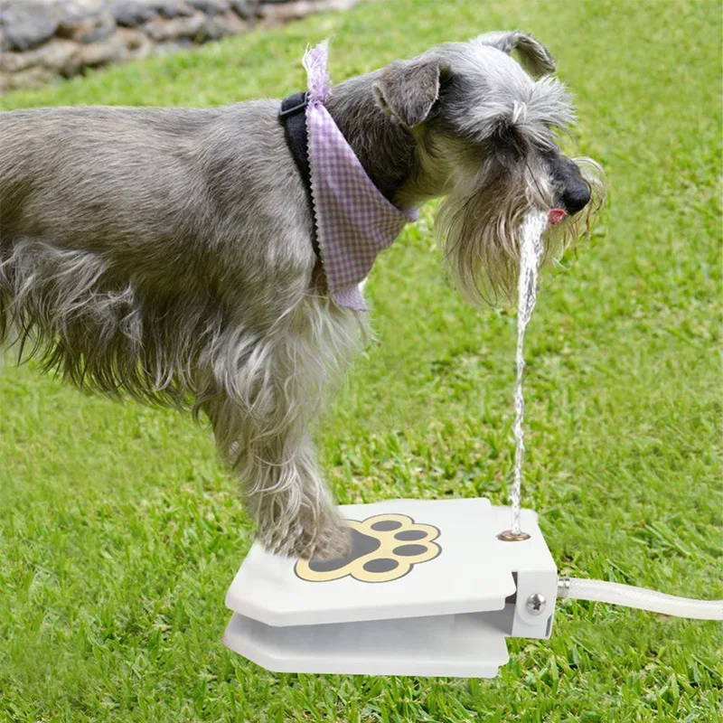 Automatic Dog Water Fountain Outdoor Step On Toy Puppy Drinking Joy With Pets Security Without Electricity For Dogs Drinking
Automatic Dog Water Fountain Outdoor Step On Toy Puppy Drinking Joy With Pets Security Without Electricity For Dogs Drinking