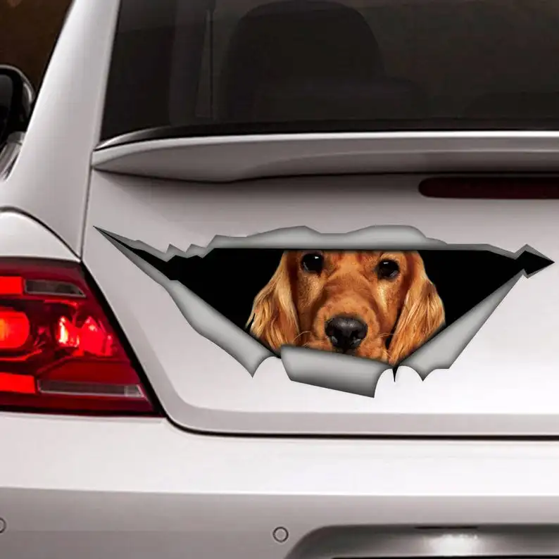 Spaniel car decal, dog car decal, Vinyl decal, car decoration, pet decal, animals decal
Spaniel car decal, dog car decal, Vinyl decal, car decoration, pet decal, animals decal
