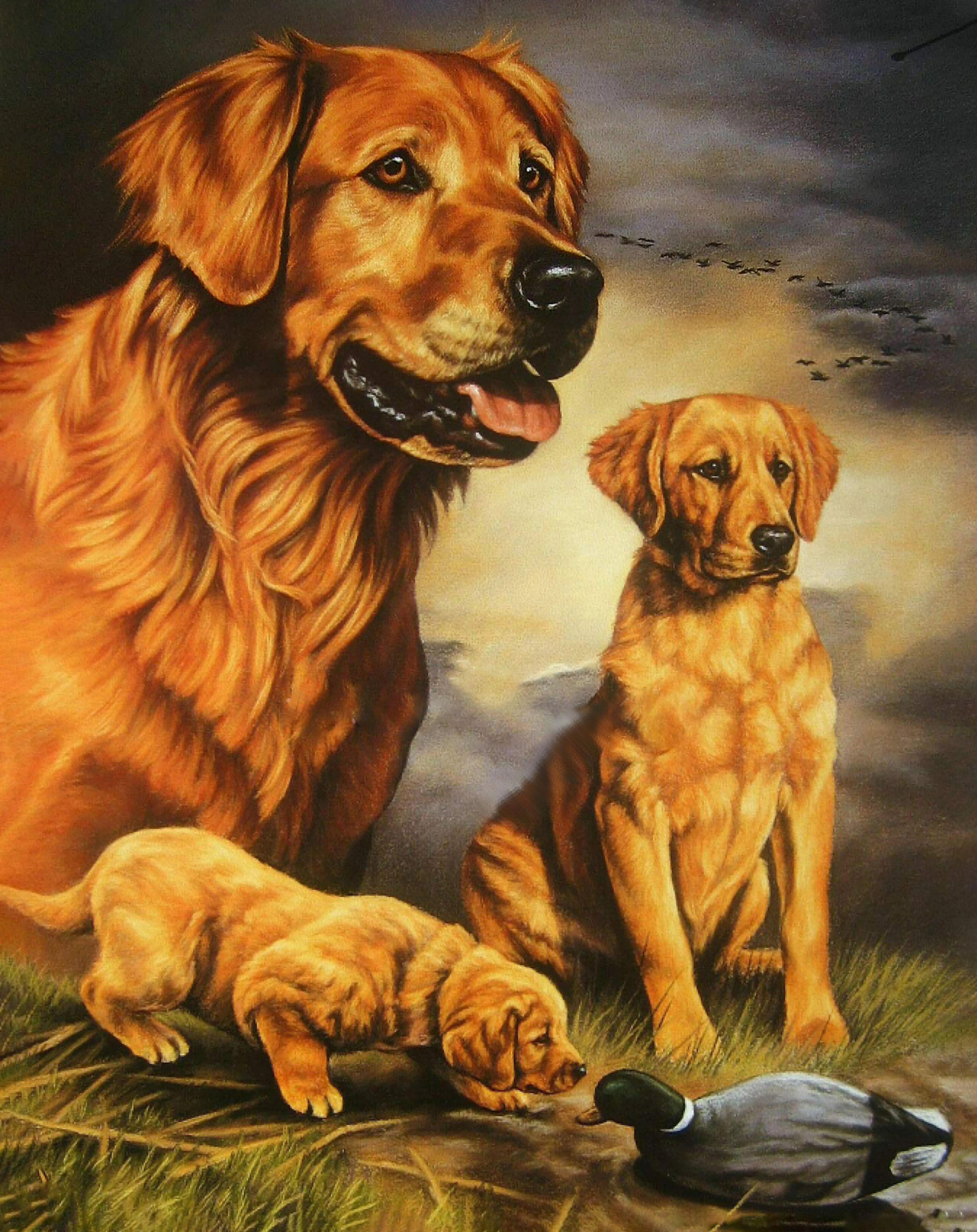 Golden Retriever Tin Sign Metal Poster Art Print Duck Hunting Cabin Wall Decor 12x8 Inches
Golden Retriever Tin Sign Metal Poster Art Print Duck Hunting Cabin Wall Decor 12x8 Inches