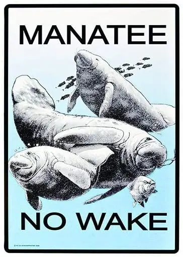Lplpol металлические знаки Manatee без пробуждения, металлические знаки для рукоделия 12 дюймов x 18 дюймов
Lplpol металлические знаки Manatee без пробуждения, металлические знаки для рукоделия 12 дюймов x 18 дюймов