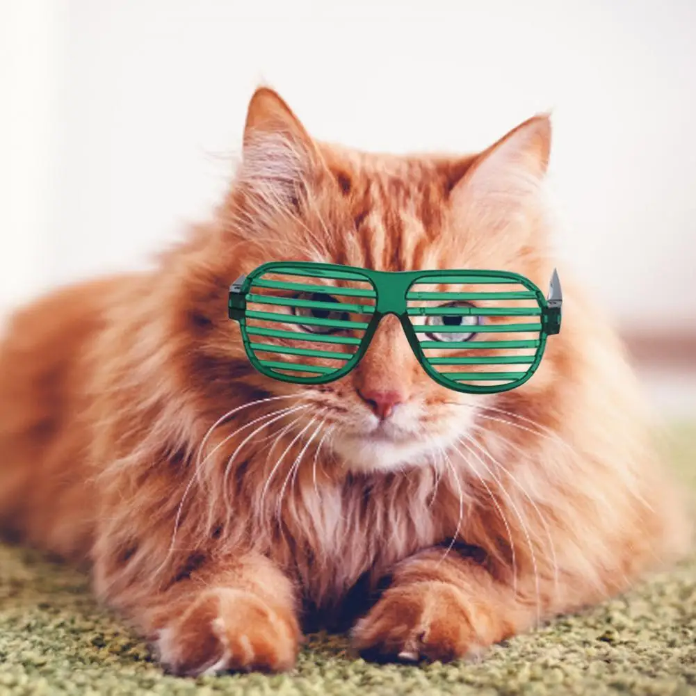 Pet Eyeglasses Shutters Design Decorative PP Stylish Sunglasses Photography Prop for Party
Pet Eyeglasses Shutters Design Decorative PP Stylish Sunglasses Photography Prop for Party
