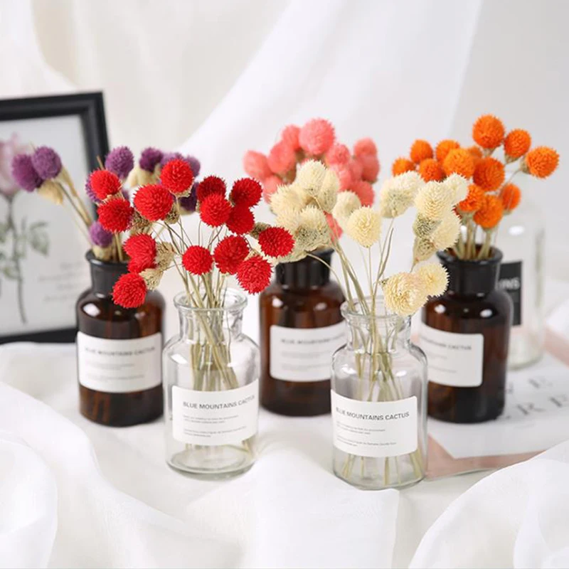 Dry Strawberry Fruit Flower Wedding Party House Nordic Table Decoracion Photography Props
Dry Strawberry Fruit Flower Wedding Party House Nordic Table Decoracion Photography Props