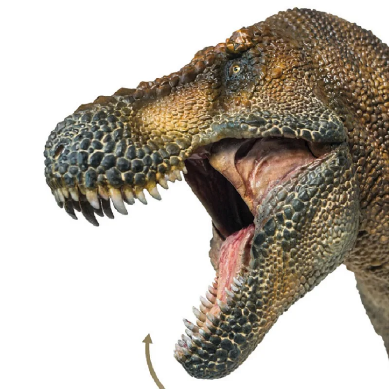 1:35 PNSO Dinosaurs Museum Wilson Tyrannosaurus Rex with Transparent Support Prehistoric Animals Toy Collection Doll
1:35 PNSO Dinosaurs Museum Wilson Tyrannosaurus Rex with Transparent Support Prehistoric Animals Toy Collection Doll