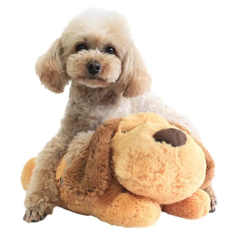 Cute Heartbeat Puppy Behavioral Training Toy Plush Pet Snuggle Anxiety Relief Sleep Aid Doll Durable Dog Chew Toys For Chewers
Cute Heartbeat Puppy Behavioral Training Toy Plush Pet Snuggle Anxiety Relief Sleep Aid Doll Durable Dog Chew Toys For Chewers