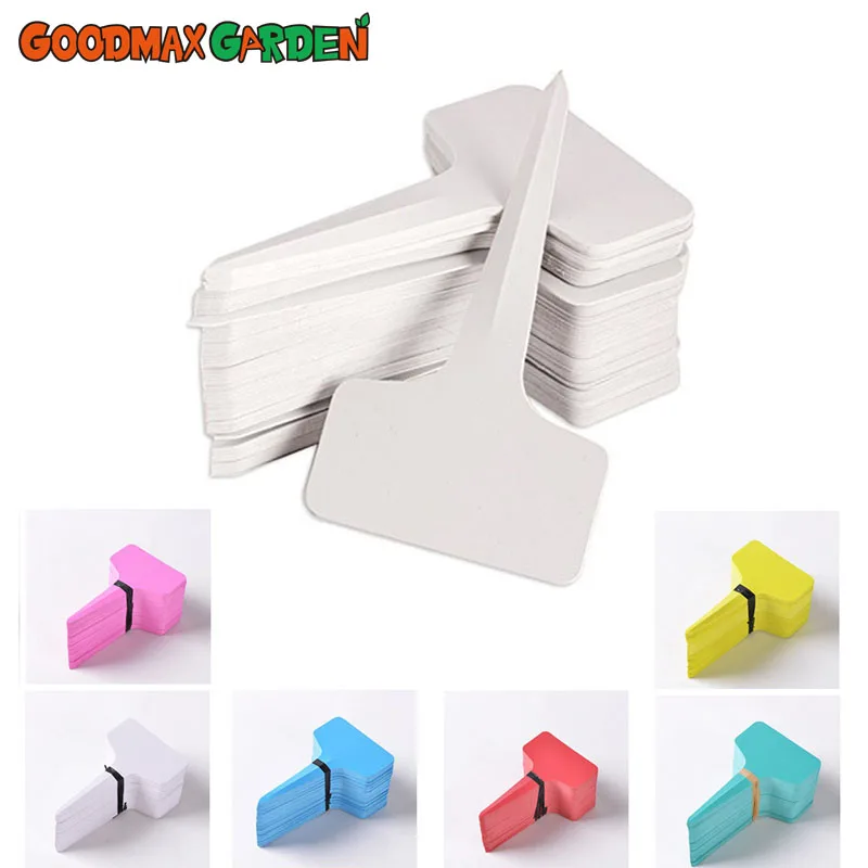 Gardening Labels Succulents Plastic Signs Waterproof Thickening Gardening Products Flower Labels
Gardening Labels Succulents Plastic Signs Waterproof Thickening Gardening Products Flower Labels