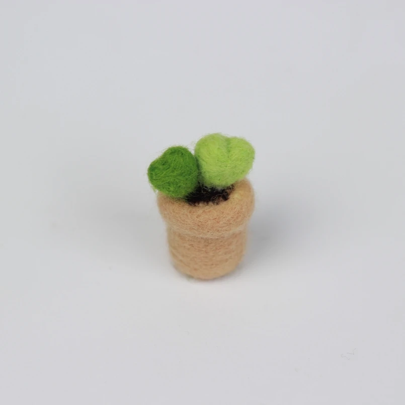 Succulent Needle Felting Kits, Handmade Felt, Wool for Felting, Felt Kit, English Manual Suitable for Beginners (H)
Succulent Needle Felting Kits, Handmade Felt, Wool for Felting, Felt Kit, English Manual Suitable for Beginners (H)