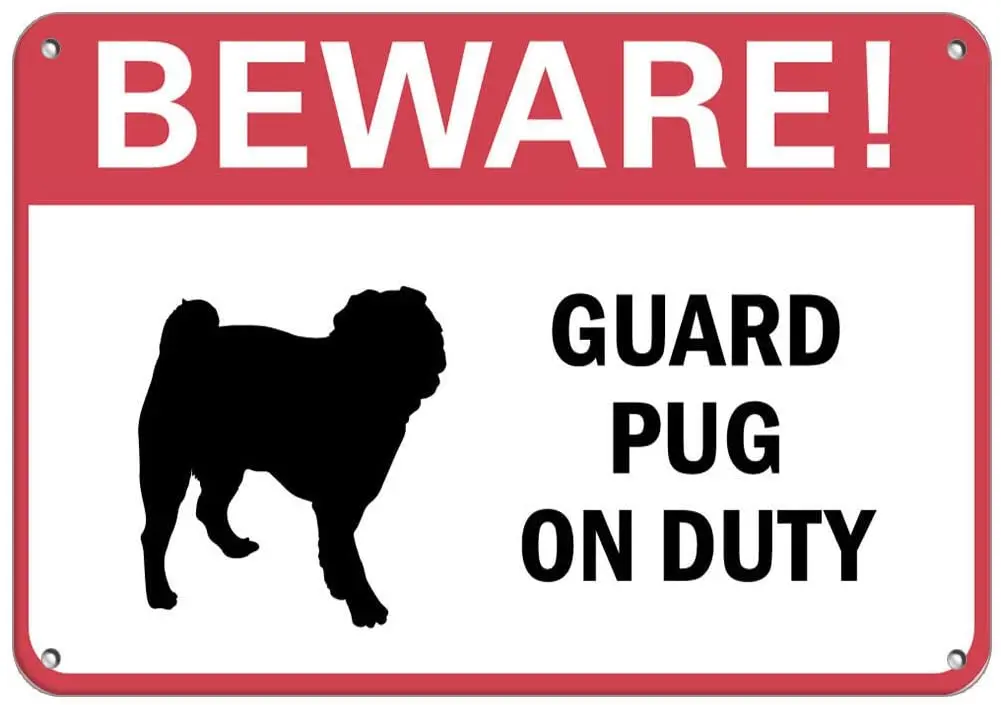 Beware! Guard Pug On Duty Pet Animal Sign Label Vinyl Decal Sticker Kit OSHA Safety Label Compliance Signs 8"
Beware! Guard Pug On Duty Pet Animal Sign Label Vinyl Decal Sticker Kit OSHA Safety Label Compliance Signs 8"