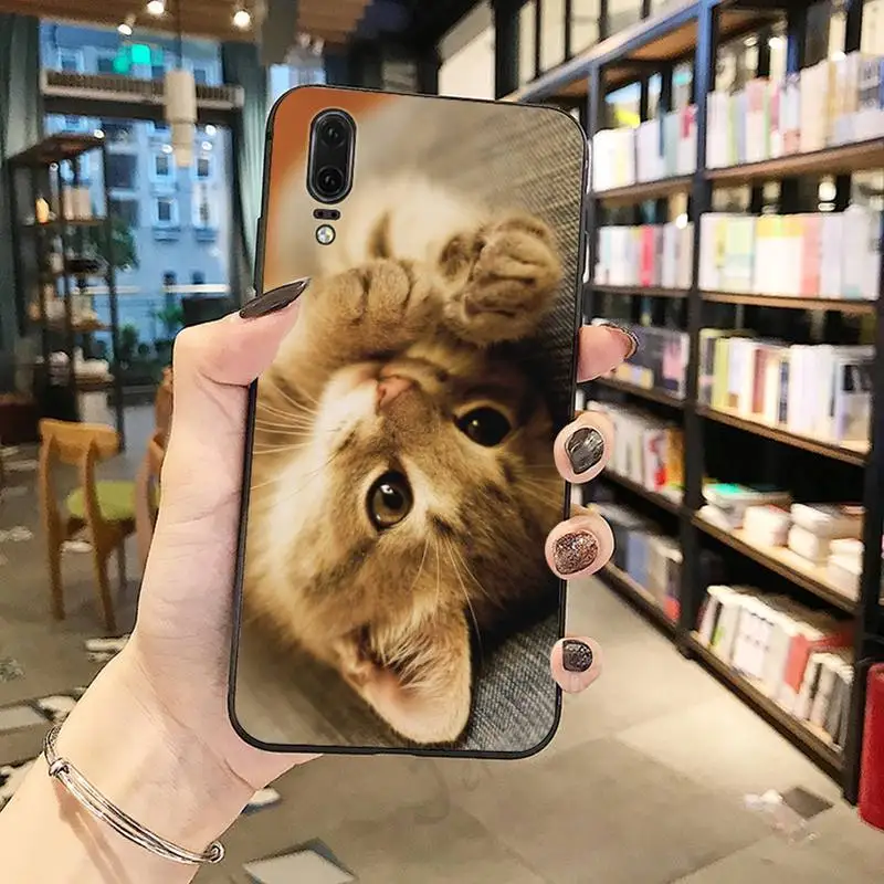 cute cat funny cover high quality fundas Phone Case For Huawei honor Mate P 10 20 30 40 Pro 10i 9 10 20 8 x Lite
cute cat funny cover high quality fundas Phone Case For Huawei honor Mate P 10 20 30 40 Pro 10i 9 10 20 8 x Lite