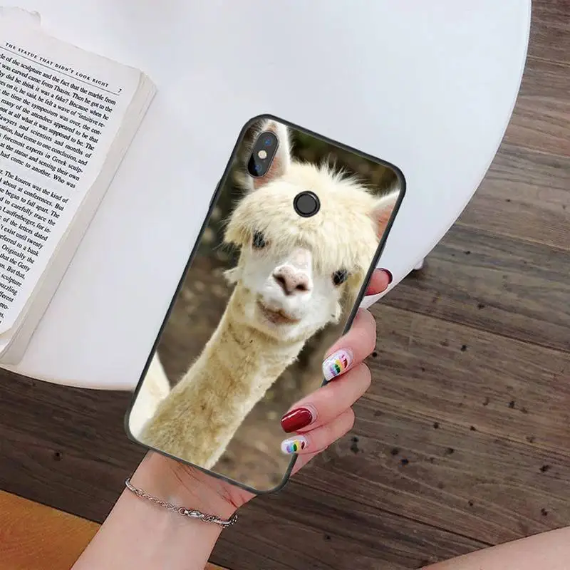 Lama Llama Alpacas Phone Case For Xiaomi Redmi note 7 8 9 t max3 s 10 pro lite Luxury brand shell funda coque
Lama Llama Alpacas Phone Case For Xiaomi Redmi note 7 8 9 t max3 s 10 pro lite Luxury brand shell funda coque