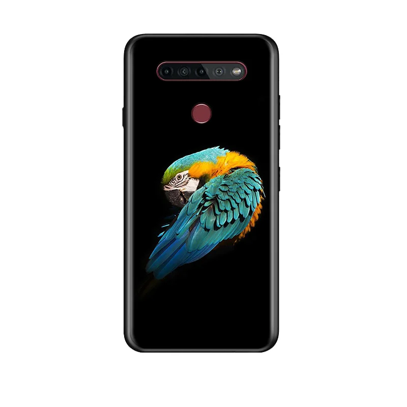 Cute Parrot Birds For LG G8 V30 V35 V40 V50 V60 Q60 K40S K50S K41S K51S K61 K71 K22 ThinQ 5G TPU Silicone Black Phone Case
Cute Parrot Birds For LG G8 V30 V35 V40 V50 V60 Q60 K40S K50S K41S K51S K61 K71 K22 ThinQ 5G TPU Silicone Black Phone Case