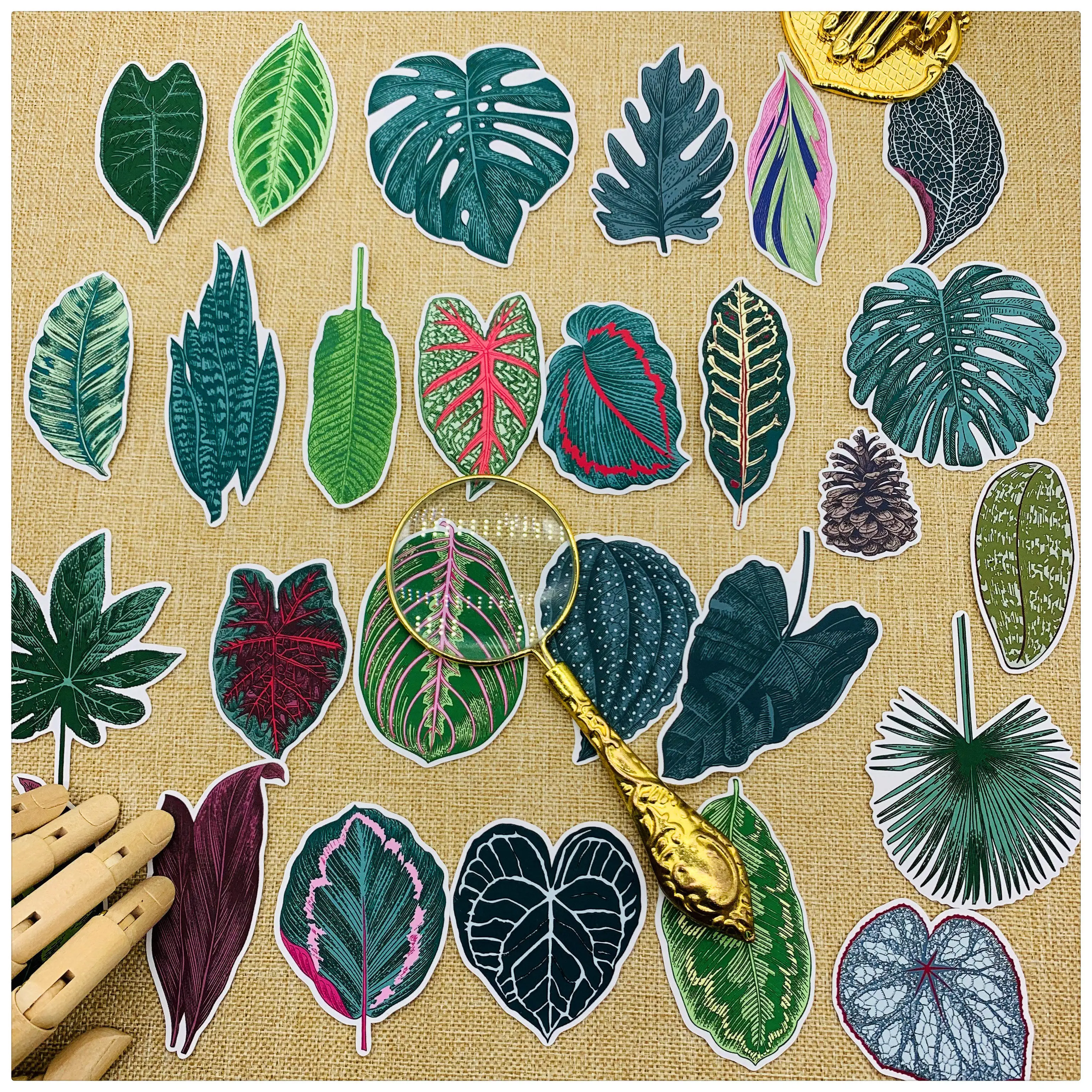 27Pcs/Pack Vintage North European Leaves Sticker DIY Craft Scrapbooking Album Junk Journal Planner Decorative Stickers
27Pcs/Pack Vintage North European Leaves Sticker DIY Craft Scrapbooking Album Junk Journal Planner Decorative Stickers