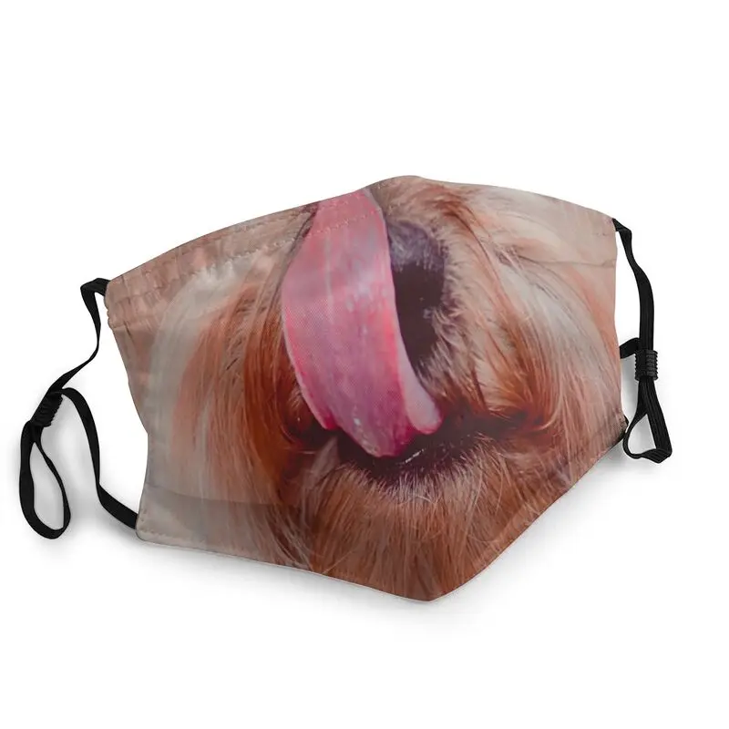 Yorkshire Terrier Face Washable Mouth Face Mask Unisex Adult Funny Yorkie Dog Mask Dustproof Protection Cover Respirator Muffle
Yorkshire Terrier Face Washable Mouth Face Mask Unisex Adult Funny Yorkie Dog Mask Dustproof Protection Cover Respirator Muffle