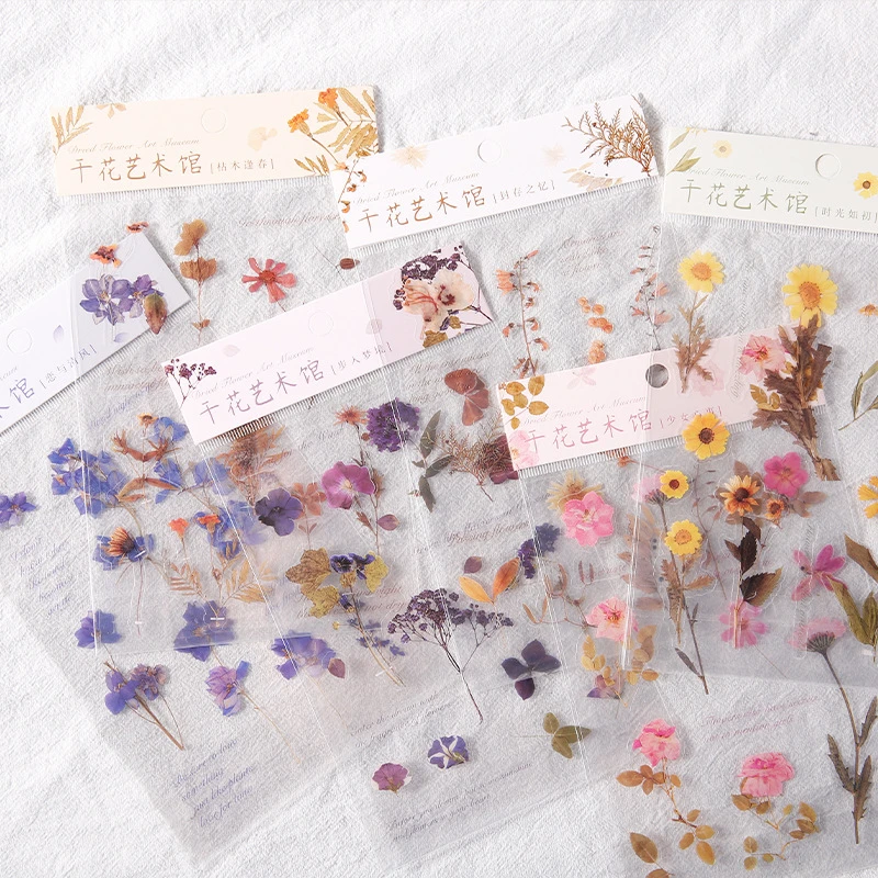 

6 Designs Natural Daisy Clover Japanese Words Stickers Transparent PET Material Flowers Leaves Plants Deco Stickers Flower