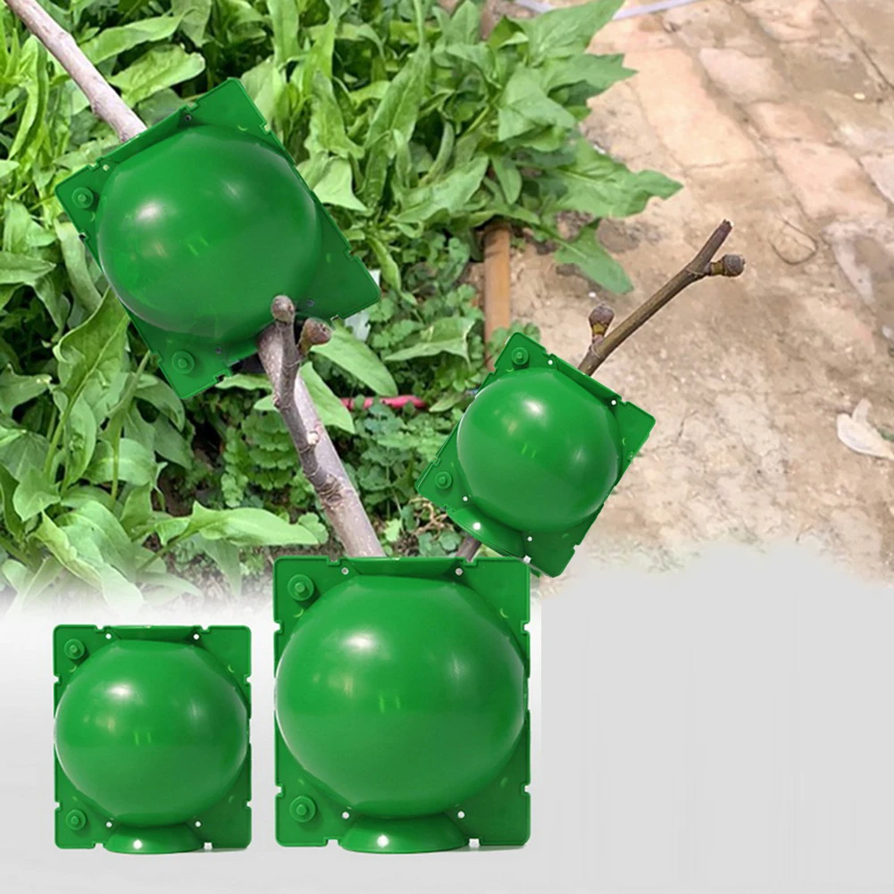 10Pcs/Set 5/8cm Green Grafting Box Plant Rooting Equipment High Pressure Propagation Ball Garden Graft Box Plastic Reusable
10Pcs/Set 5/8cm Green Grafting Box Plant Rooting Equipment High Pressure Propagation Ball Garden Graft Box Plastic Reusable