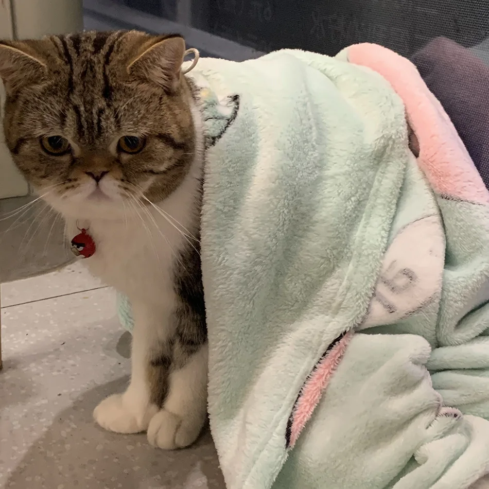 Big Dog Pet Bed Snow Flnanel Blanket, Premium Fleece Fluffy Throw Blankets Soft and Warm Cushion Covers for Small Large Cats
Big Dog Pet Bed Snow Flnanel Blanket, Premium Fleece Fluffy Throw Blankets Soft and Warm Cushion Covers for Small Large Cats