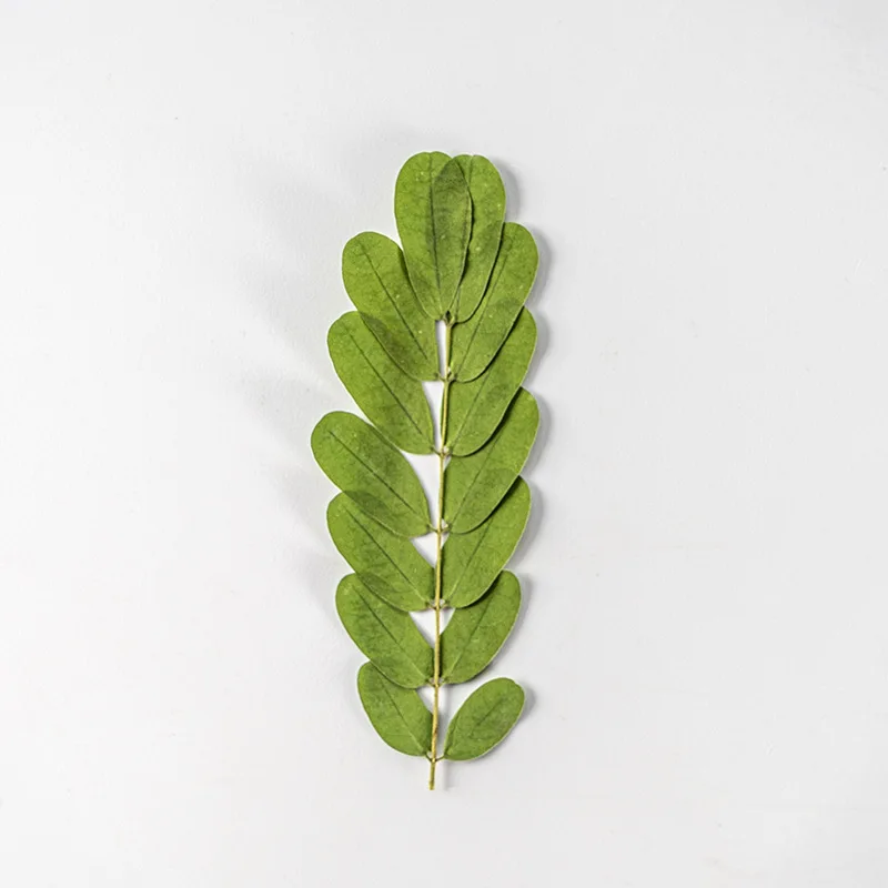 12pcs/pack Pressed Dried Leaf Necklace Jewelry Making Craft Embossing Phone Case Bookmark Wedding Decor Postcard Nail Decoration
12pcs/pack Pressed Dried Leaf Necklace Jewelry Making Craft Embossing Phone Case Bookmark Wedding Decor Postcard Nail Decoration