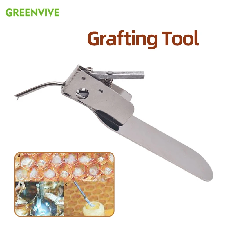 High Quality Master Grafting Tool for Grafting Honey Bee Larvae by Transferring with Spare Tongue
High Quality Master Grafting Tool for Grafting Honey Bee Larvae by Transferring with Spare Tongue