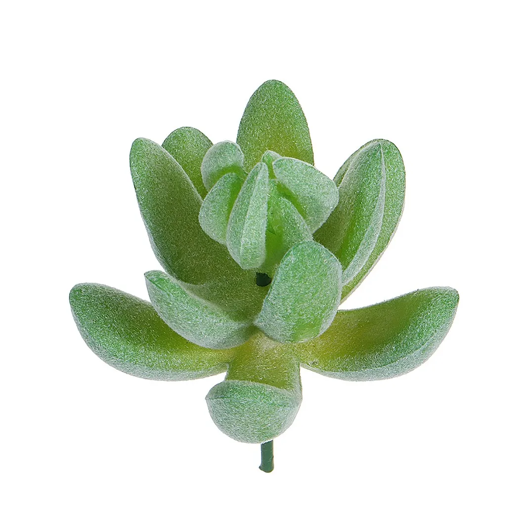 12pcs Flocking Artificial Succulent Plants Fake Plants Home Garden Bedroom Hotel Christmas Halloween Wedding Party Decoration
12pcs Flocking Artificial Succulent Plants Fake Plants Home Garden Bedroom Hotel Christmas Halloween Wedding Party Decoration