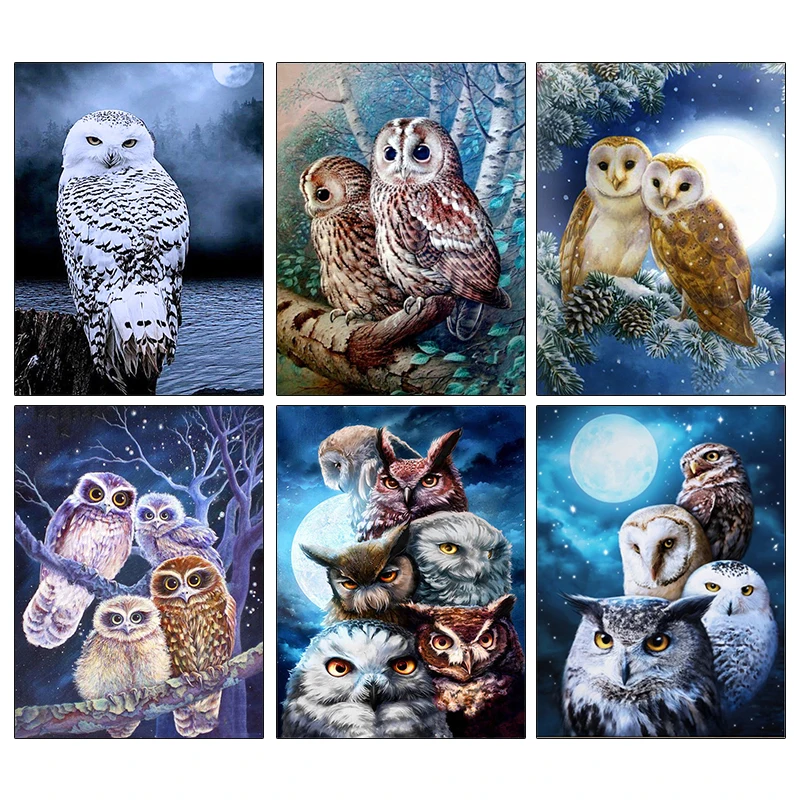 AMPHIBOLE 5D Diamond Painting Owl Full Square Diamond Embroidery Animals Cross Stitch Mosaic Rhinestone Crafts Kit Home Decor
AMPHIBOLE 5D Diamond Painting Owl Full Square Diamond Embroidery Animals Cross Stitch Mosaic Rhinestone Crafts Kit Home Decor