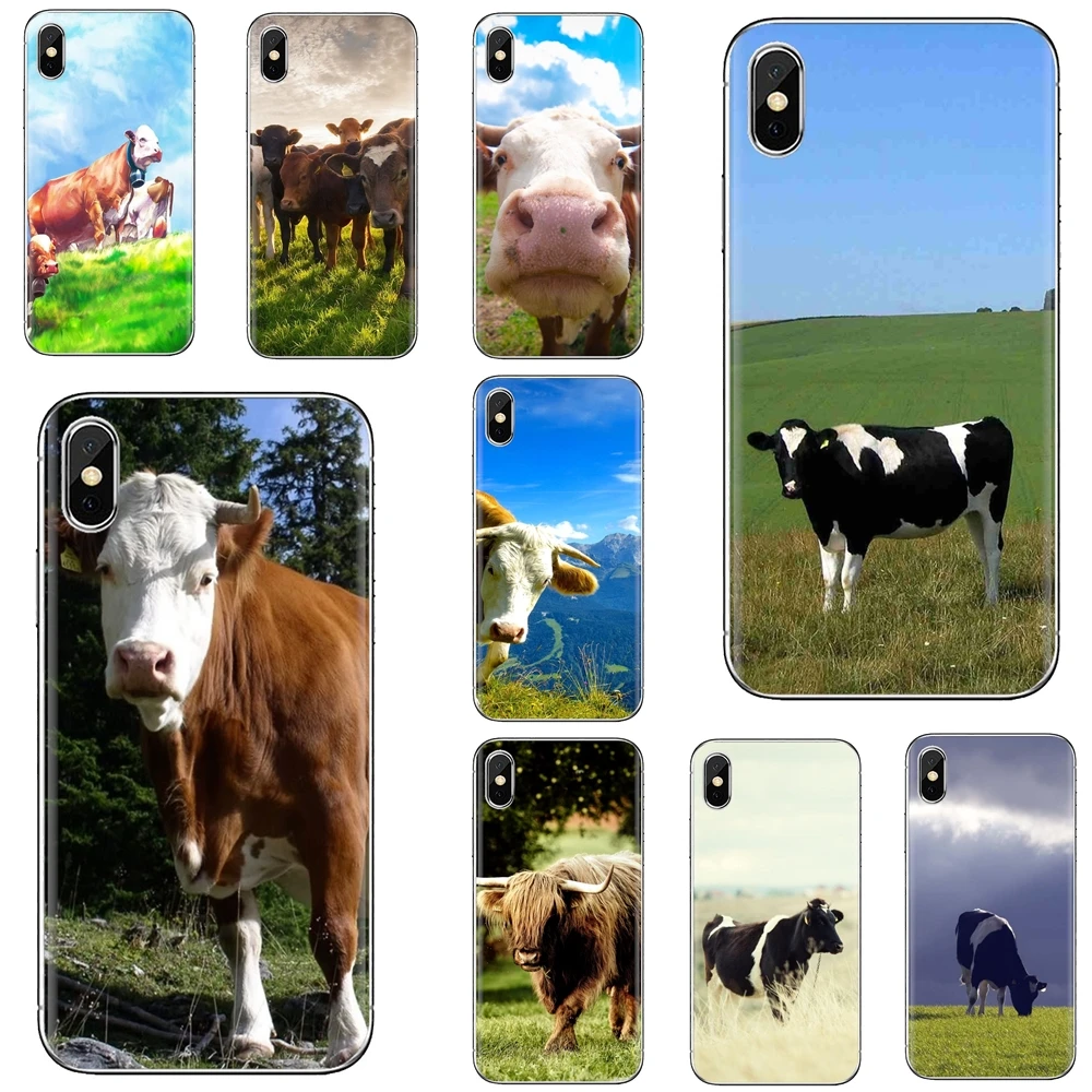 For iPhone iPod Touch 11 12 Pro 4 4S 5 5S SE 5C 6 6S 7 8 X XR XS Plus Max 2020 Cow Animal Soft Cases Cover
For iPhone iPod Touch 11 12 Pro 4 4S 5 5S SE 5C 6 6S 7 8 X XR XS Plus Max 2020 Cow Animal Soft Cases Cover