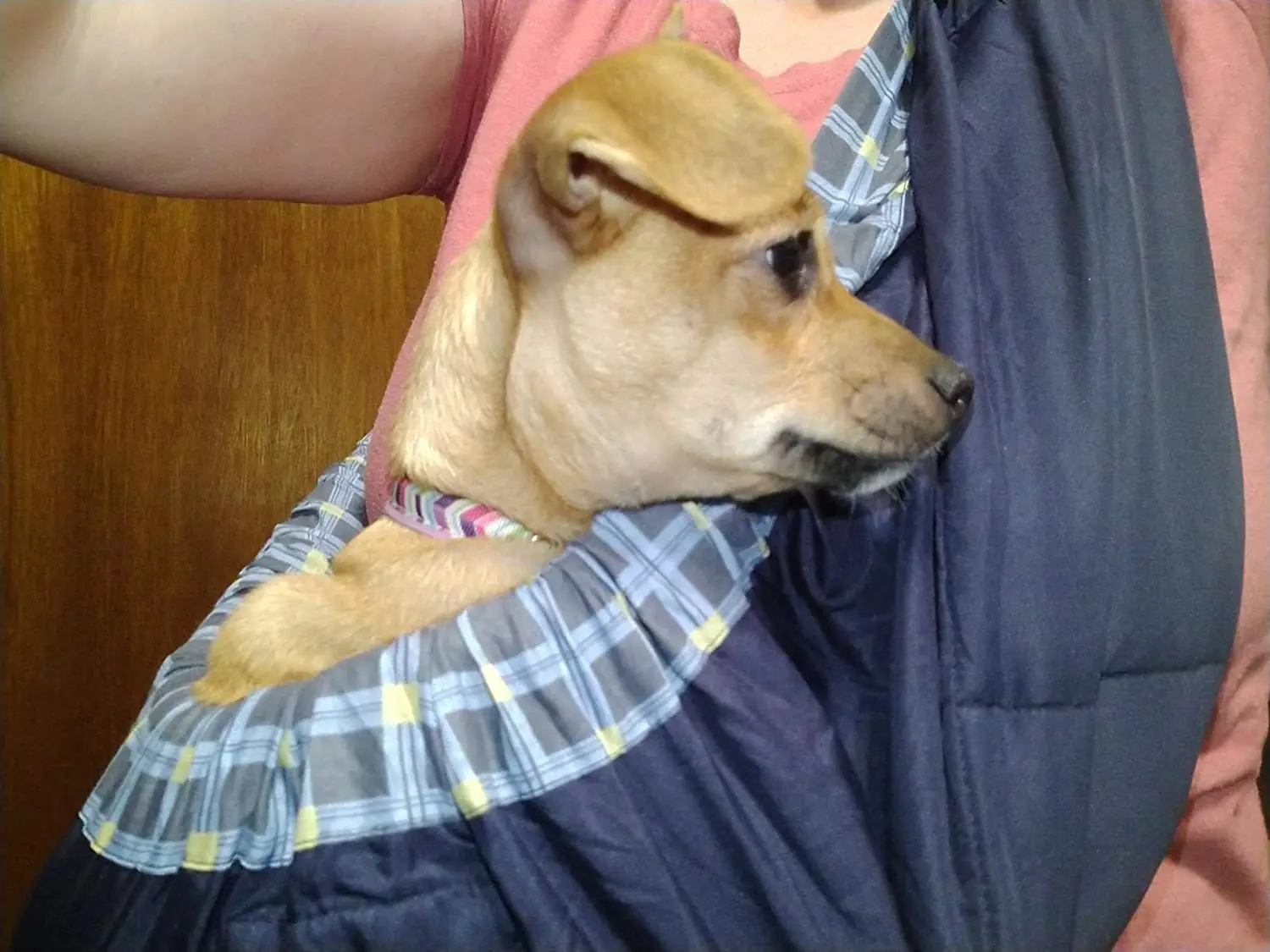 Pet Sling Carrier, Adjustable Sling Bag, Small Dog Cat Outdoor Shoulder Carrier Bag, Most Suitable Outdoor Portable Pet Supplies
Pet Sling Carrier, Adjustable Sling Bag, Small Dog Cat Outdoor Shoulder Carrier Bag, Most Suitable Outdoor Portable Pet Supplies