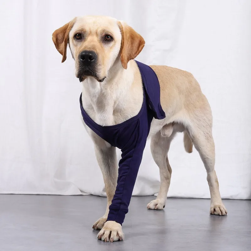 8 Sizes Dog Anti-licking Protector Sleeve Pet Dog Support Brace for Front Leg Hock Joint Wrap Breathable Injury Recover Legs Pad
8 Sizes Dog Anti-licking Protector Sleeve Pet Dog Support Brace for Front Leg Hock Joint Wrap Breathable Injury Recover Legs Pad