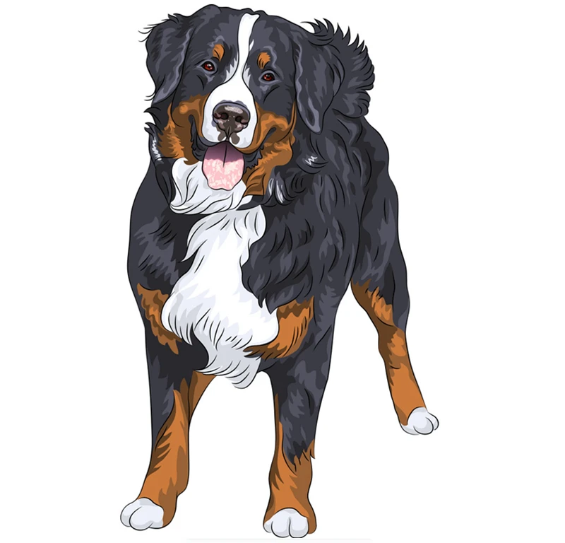 12x20cm Bernese Mountain Dog Standing and Smiling Car Sticker Funny Colorful Auto Automobile Decals
12x20cm Bernese Mountain Dog Standing and Smiling Car Sticker Funny Colorful Auto Automobile Decals