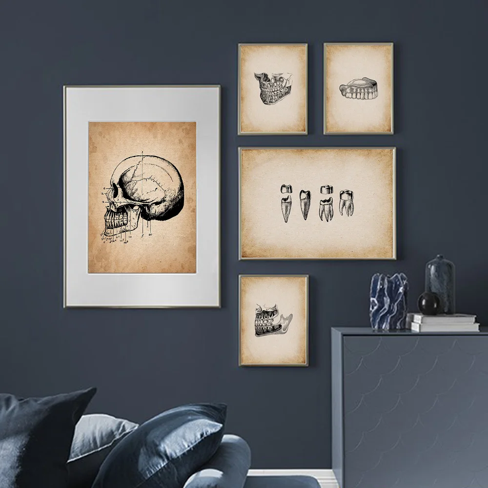 Human Medical Tooth Anatomy Science Vintage Canvas Painting Posters Prints Nordic Wall Art Pictures Medical Doctor Clinic Decor
Human Medical Tooth Anatomy Science Vintage Canvas Painting Posters Prints Nordic Wall Art Pictures Medical Doctor Clinic Decor
