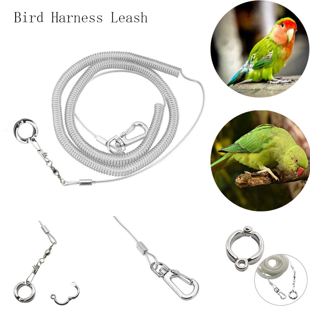 3 Meter Flexible Bird Leash With Leg Ring Ultra-light Parrot Bird Harness Anti-bite Flying Training Rope For Macaw Cockatiel
3 Meter Flexible Bird Leash With Leg Ring Ultra-light Parrot Bird Harness Anti-bite Flying Training Rope For Macaw Cockatiel