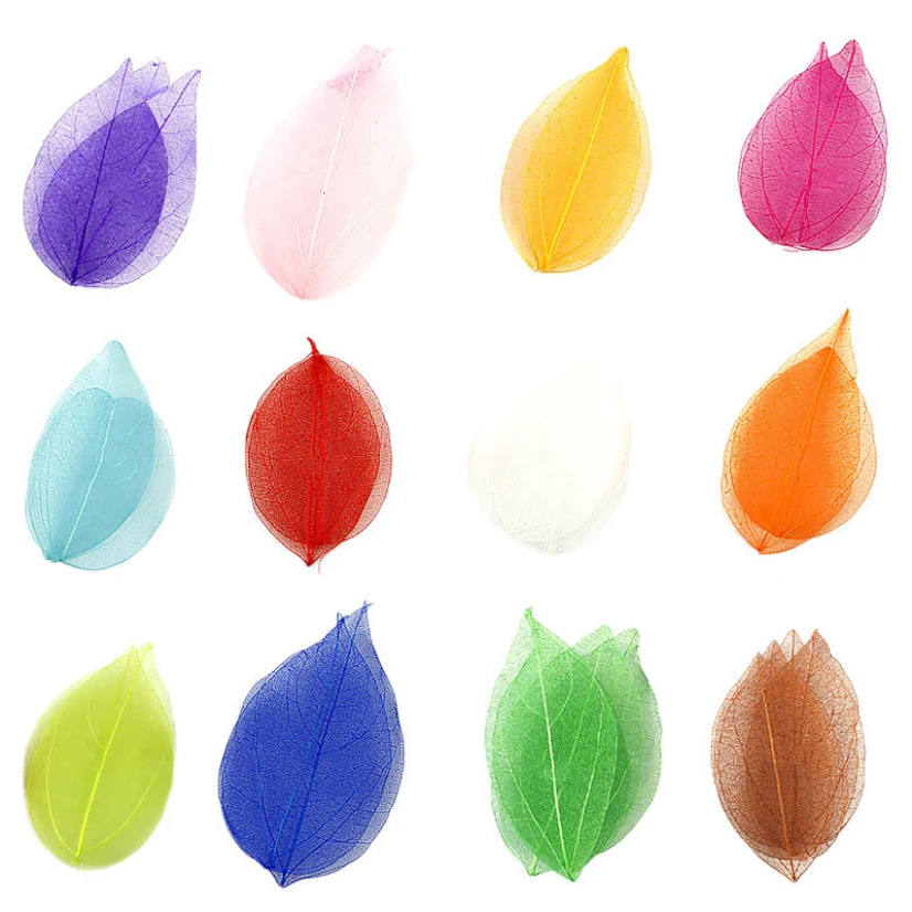 20 Pcs Dried Flowers Embossing DIY Craft Materials Decoration Natural Leaves Epoxy Patchwork Bookmark Jewelry Accessories
20 Pcs Dried Flowers Embossing DIY Craft Materials Decoration Natural Leaves Epoxy Patchwork Bookmark Jewelry Accessories