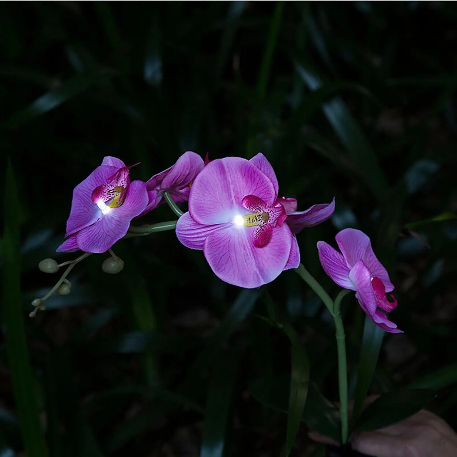 Outdoor Butterfly Orchid Landscape Light Solar Led Lawn Light Garden Artificial Flower Decor Home Decorative Flowers Light#W
Outdoor Butterfly Orchid Landscape Light Solar Led Lawn Light Garden Artificial Flower Decor Home Decorative Flowers Light#W